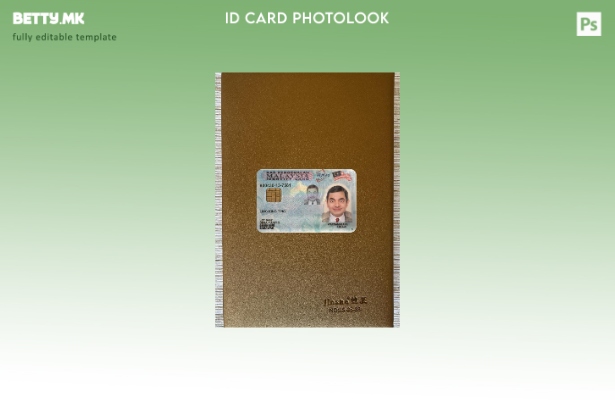 модерен стил Малезија лична карта нова верзија photolook предниот шаблон